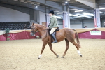 SBM_03398