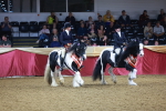 SBM_15214
