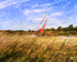 NB3  Speeding through the Reeds