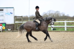 SBM_007533