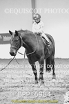 BPP_6984