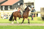 SBM_69018