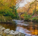 Foleys Bridge in Tollymore Forest Park