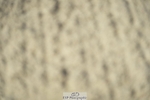 230909-104644-04947