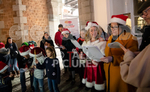 Accent Language School Carols-12