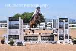 BPP_1595