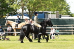 SBM_07045
