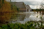 Brockholes 06