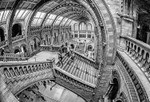 Inside the Natural History Museum