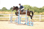 SBM_000931