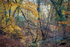 Autumn Gully View, Nr. Cannop