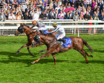 260823-Race 5-Summerghand-Albasheer-0775