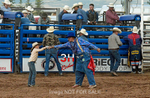 3HRodeo7-11-24_LJD_3HR1895_LJD
