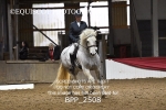 BPP_2508
