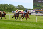 300526-Race 6-Zoustar Dreams-0810