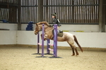 AJG_0059