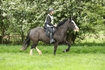 SPXX5482