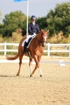 SBM_008075