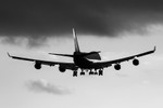 _MG_6336