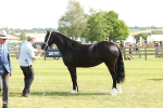SBM_02249