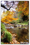 Burntollet River, Ness Country Park (IMG0157)