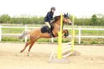 SBM_008483