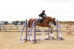 SBM_006028