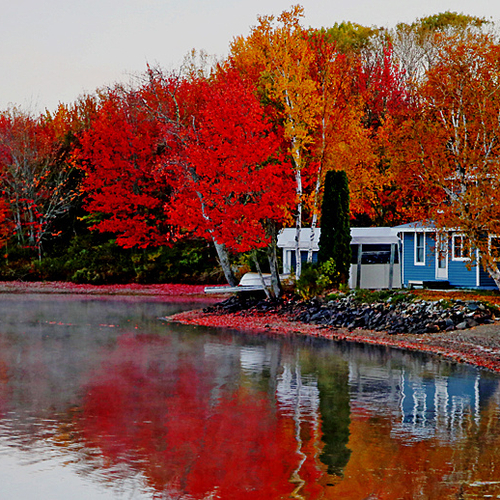 Reflections along a country lake in rural York County, New Brunswick, Canada.