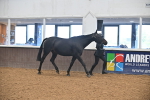 SBM_000076