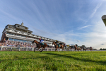 140826-Race 3-Equity Law-5383