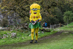 Dovedale Dash-2830