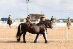 SBM_10954