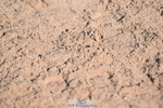 231015A-114215-07781