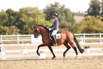 SBM_016976