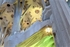 V BEST SAGRADE FAMILIA17 June 2016 - 11 of 11