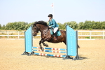 SBM_000675