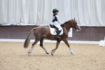 SBM_001011