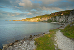 Carrick-a-Rede from Larrybane (09071331)