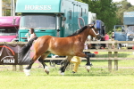SBM_02364