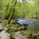 River Barle, Exmoor