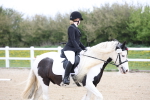 SBM_006569