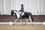 SBM_008705