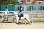 Bishop's Court Farm - Clear Round 27-06-25 portfolio