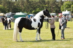 SBM_04224