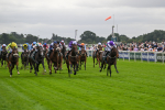 220824-Race 2-Diligently-6809