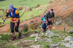 Stybarrow Dodd-602