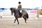 SBM_00391