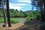 Sierra de Andújar, Andalucia, Spain