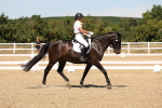 SBM_002797