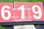 ESP_619